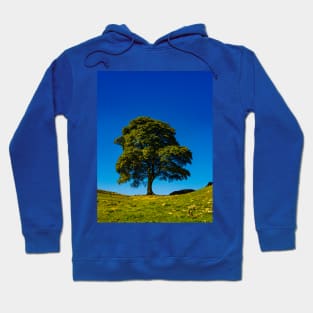 Sycamore Gap, in Memoriam Hoodie